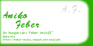 aniko feber business card